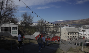 Yfirlitsmynd um sumar yfir miðbæ Akureyrar, séð ofarlega úr kirkjutröppunum