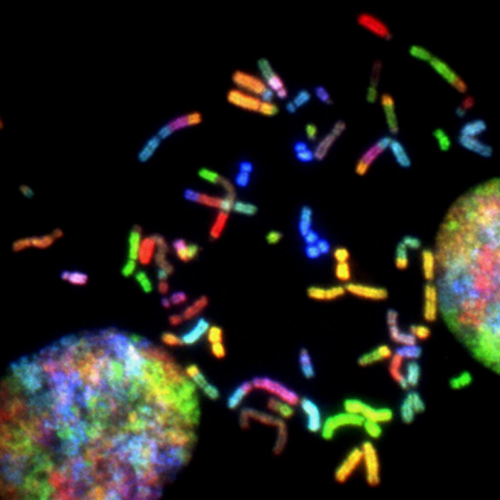 national-cancer-institute-J28Nn-CDbII-unsplash DNA