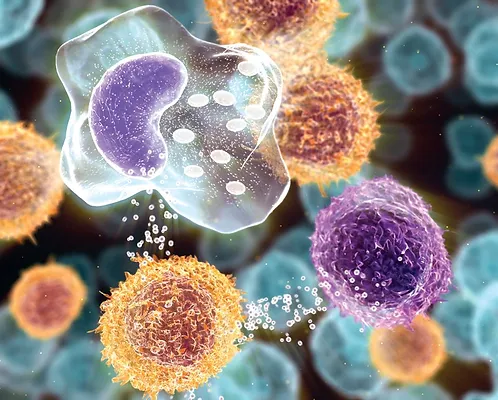 cytokines Frumuboðar