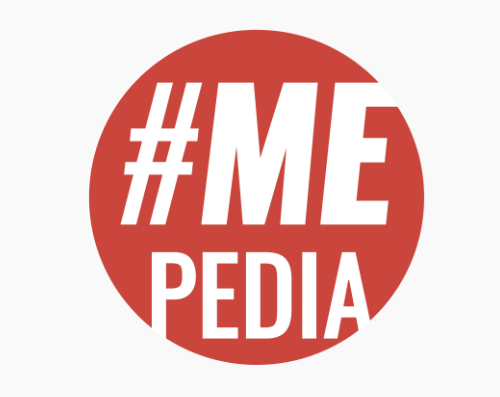 Screenshot 2024-11-15 at 15.34.33 Merki MEpedia