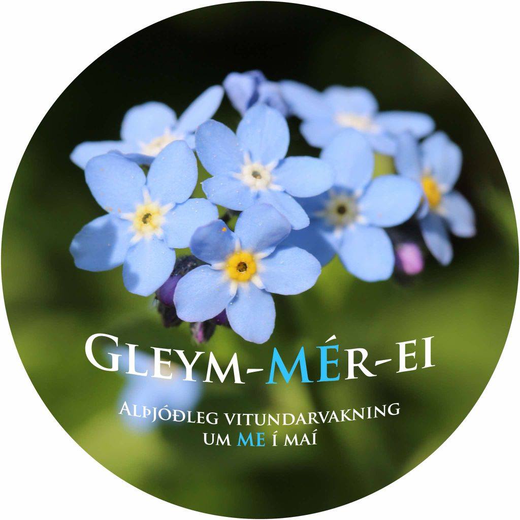 Blóm Gleym-mér-ei