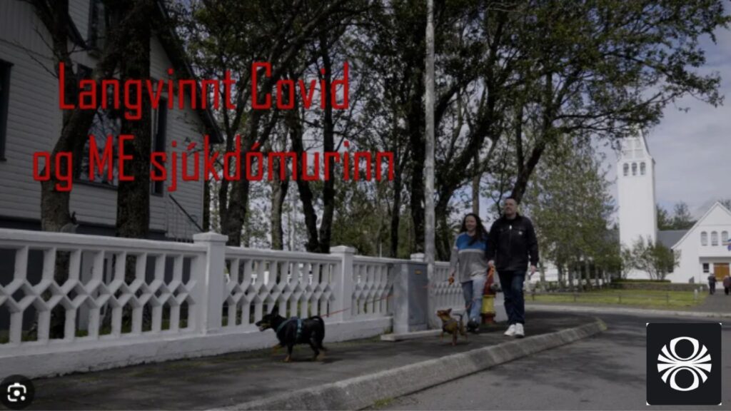 Tveir einstaklingar ganga með hunda eftir gangstétt