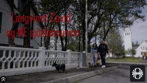 Tveir einstaklingar ganga með hunda eftir gangstétt