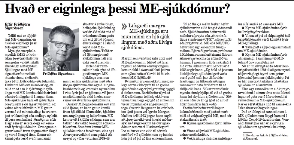Mynd af grein Friðbjörns í mbl.
