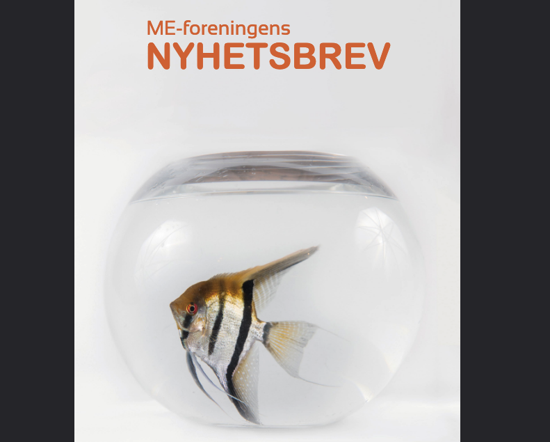 Forsíða fréttabréfsins: „ME-foreningens NYHETSBREV“ Mynd af gullfisk í kúlulaga búri