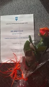 Viðurkenningarskjal og rós